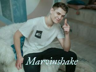 Marvinshake