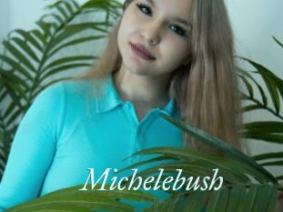 Michelebush
