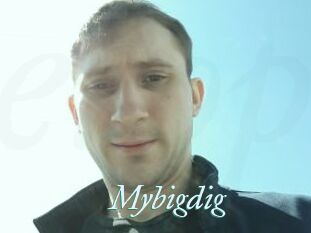 Mybigdig