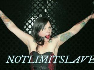 NOTLIMITSLAVE
