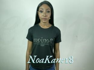NoaKane18