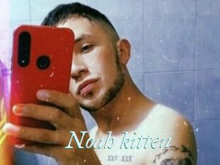 Noah_kitten