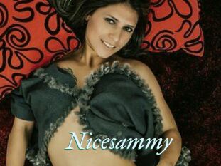 Nicesammy
