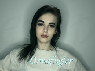 Orvafugler