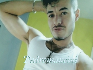Pedromancini