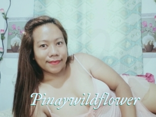 Pinaywildflower
