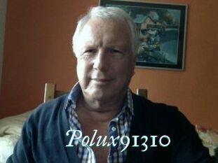 Polux91310
