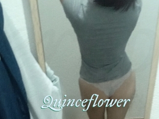 Quinceflower