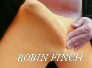 ROBIN_FINCH