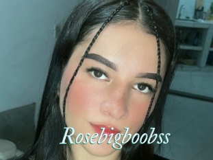 Rosebigboobss