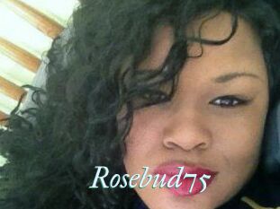 Rosebud75