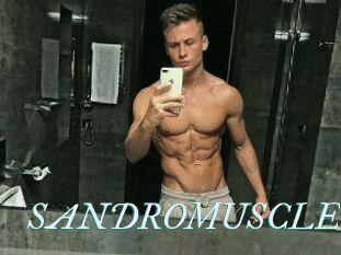 SANDRO_MUSCLE