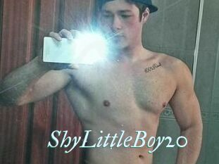 ShyLittleBoy20