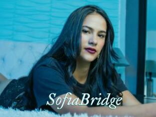 SofiaBridge