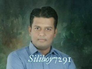 Siliboy7291