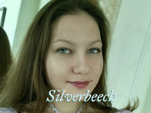 Silverbeech