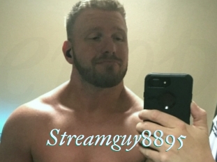 Streamguy8895