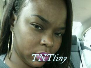 T_N_Ttiny