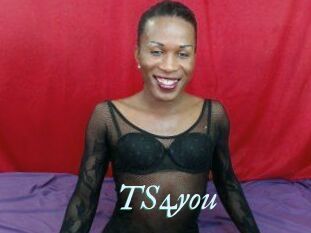 TS4you