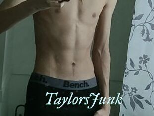 TaylorsJunk