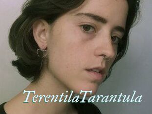 TerentilaTarantula