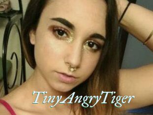 TinyAngryTiger