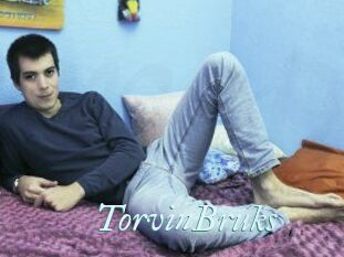 TorvinBruks