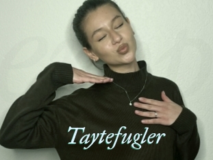Taytefugler