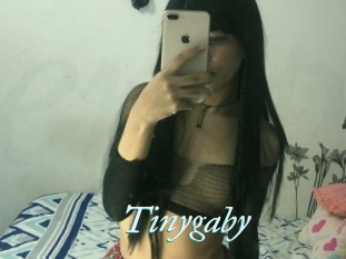 Tinygaby