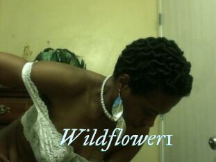 Wildflower1