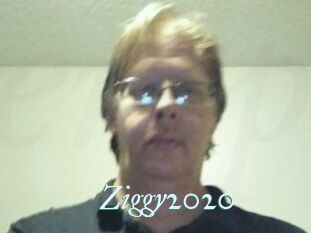 Ziggy2020